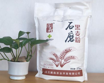 麻山藥的營養：探索健康食材的多重好處